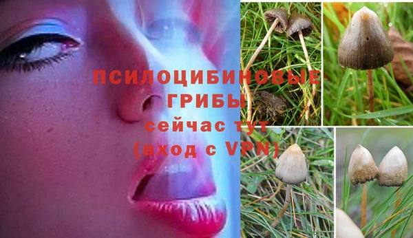 кокс Майский