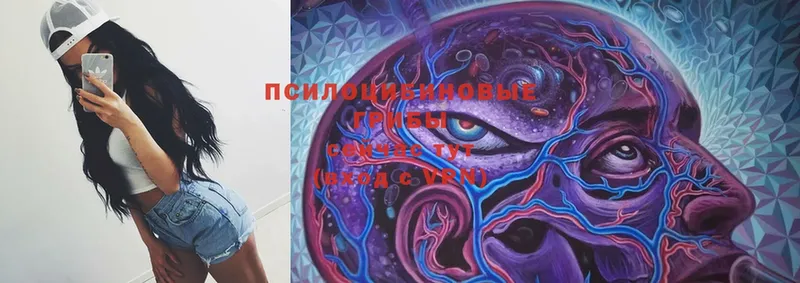 Галлюциногенные грибы Psilocybe  купить закладку  Нижний Ломов 